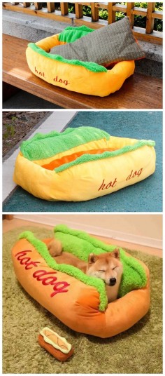 Your dog will love the hot dog !