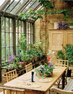 Dreamy conservatory sun room filled with orchids and warm wood furniture.