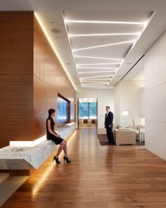 FIG. 1. The reception area in the Cole Capital office building combines geometrically placed Neo-Ray linear fluorescent fixtures for 