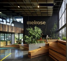 Gallery of Melrose Health / Bent Architecture - 1