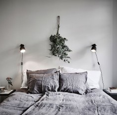 hang eucalyptus above your bed for a restful night's sleep