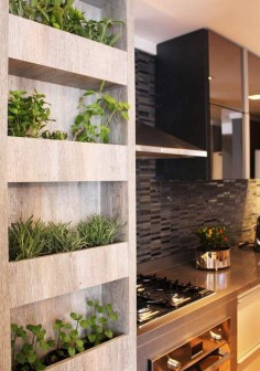 Indoor Herb Garden Idea using the space available in kitchen #smallgardenideas #sgi