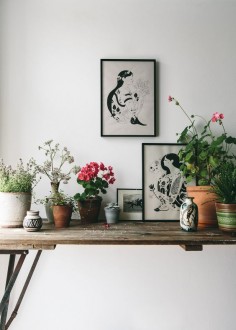 Nature inspired art prints for the home.