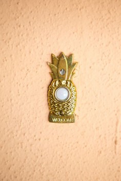 Pineapple doorbell.