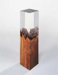 Vera Röhm (plexiglass and wood)